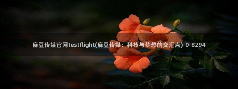 麻豆视频演员文案：麻豆传媒官网testflight(麻豆传媒：科技与梦想