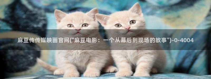 麻豆视频原创文案