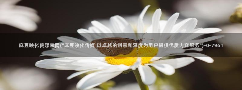 麻豆国产精选