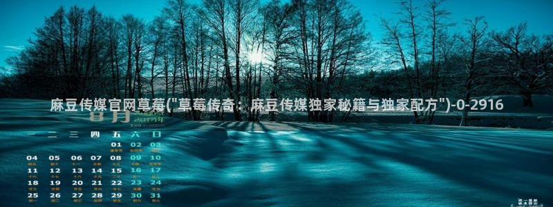 麻豆视频资讯文案