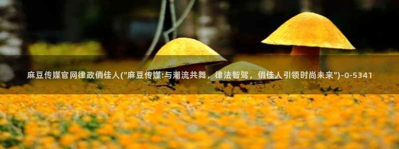 麻豆片单推荐