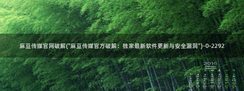麻豆免费视频观看