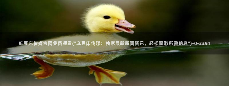 麻豆视频入口