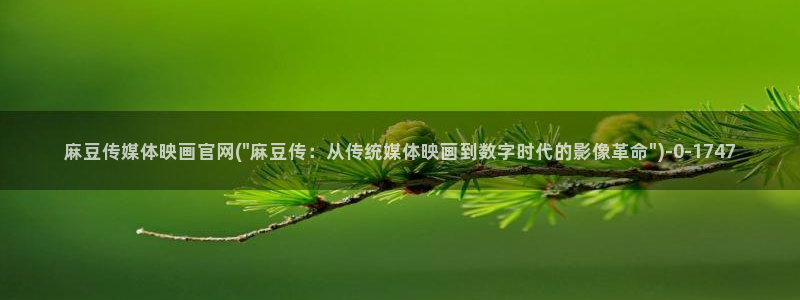 麻豆视频盘点文案
