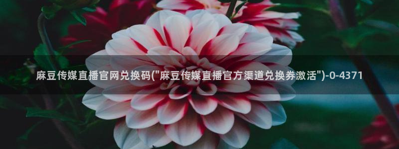 麻豆资源导航