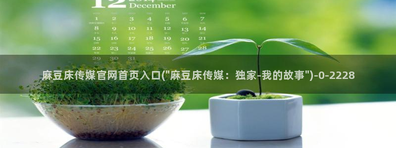 麻豆视频伪原创