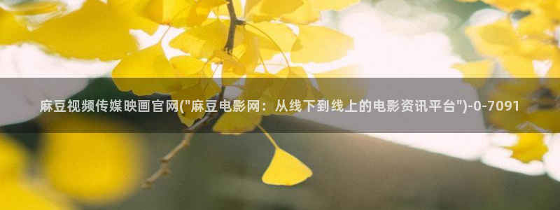 麻豆视频合作联系