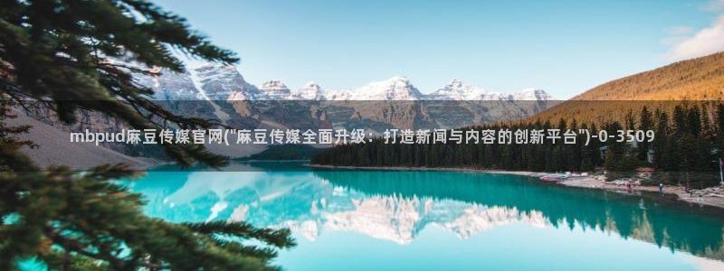 麻豆视频模板标签