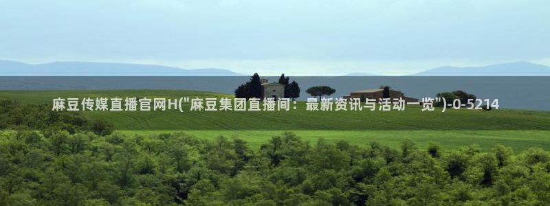 麻豆视频在线观看