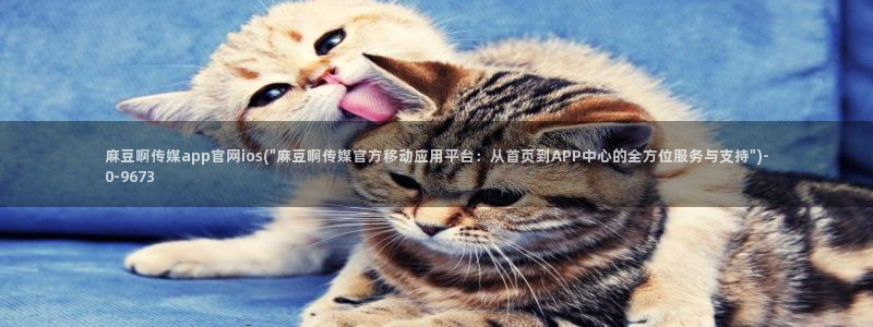麻豆国产视频