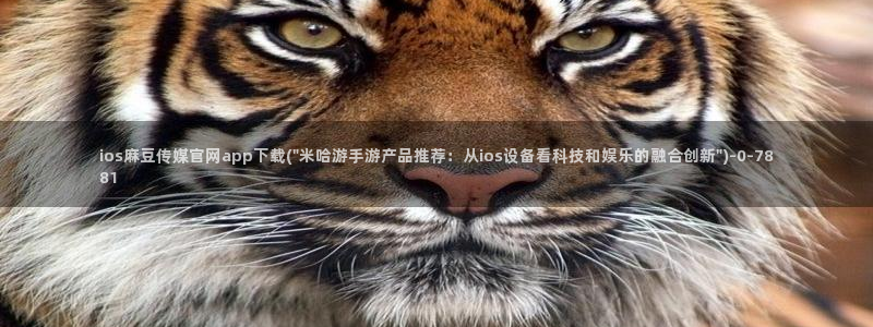 麻豆视频合集整理