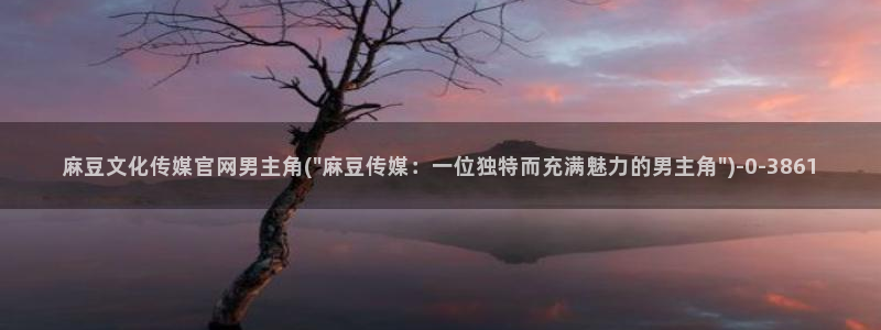 麻豆系列视频