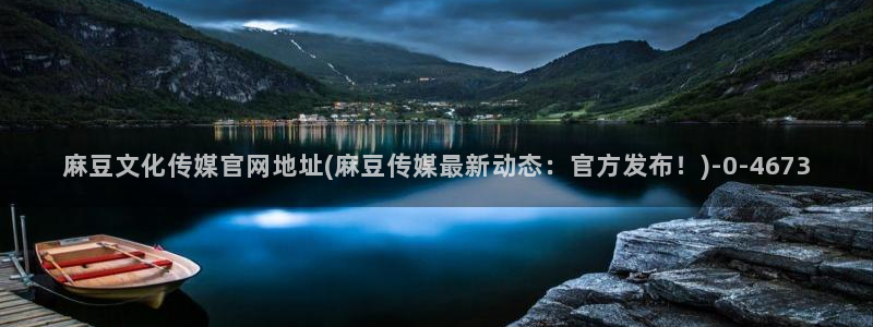 麻豆视频站内文案