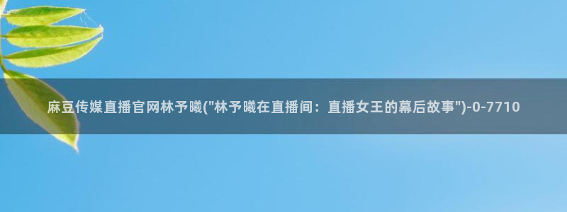 麻豆SEO关键词
