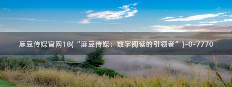 麻豆内容整理