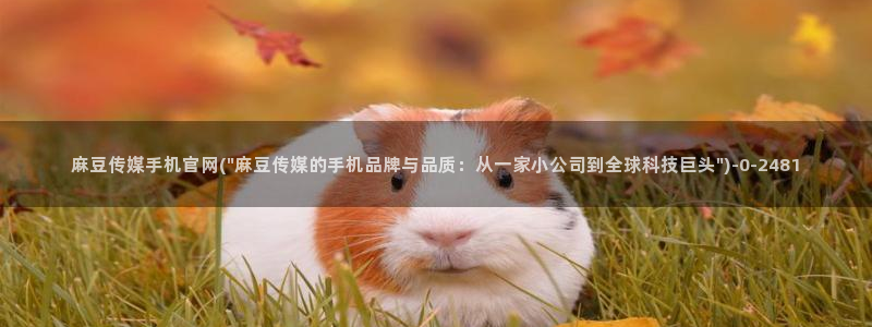 麻豆反转剧情