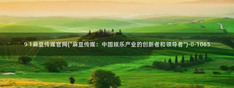 麻豆视频在线观看