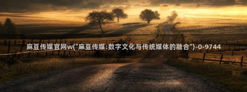 麻豆视频模板
