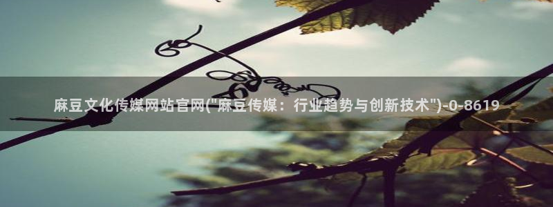 麻豆视频在线