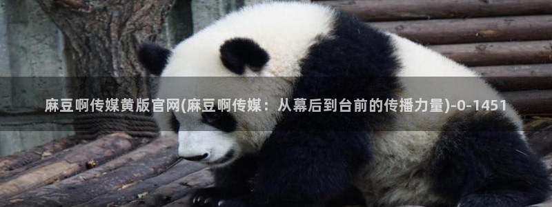 麻豆视频目录