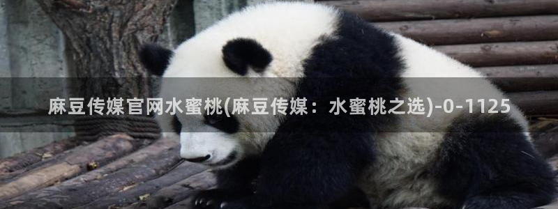 麻豆视频栏目文案