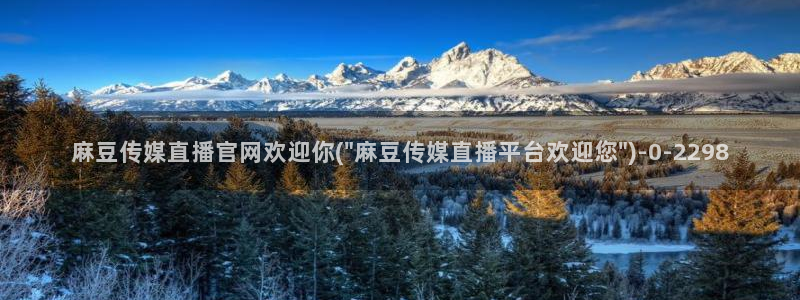 麻豆演员