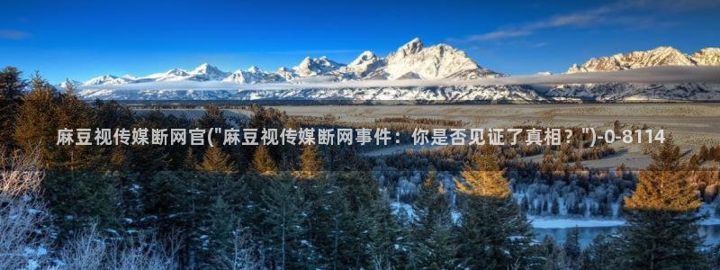 麻豆视频分类规则