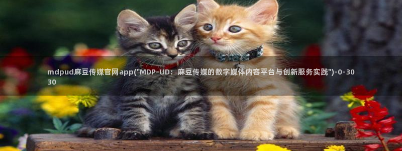 麻豆视频分类规则