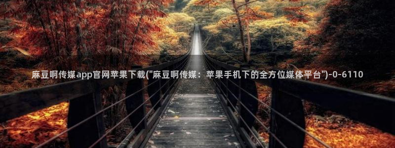 麻豆视频清晰导航