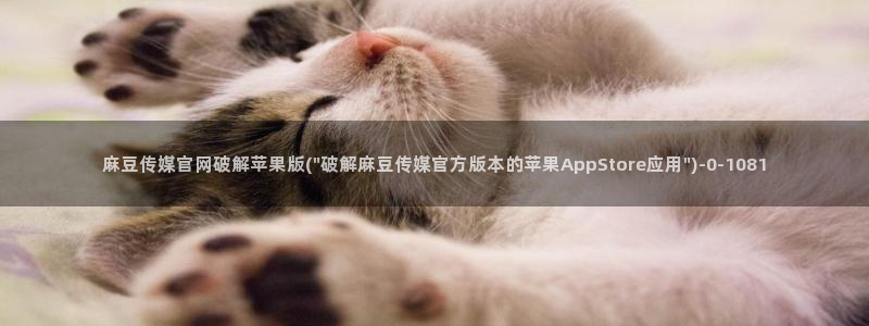 麻豆分类库