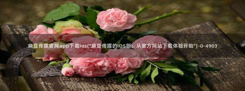 麻豆新片速递