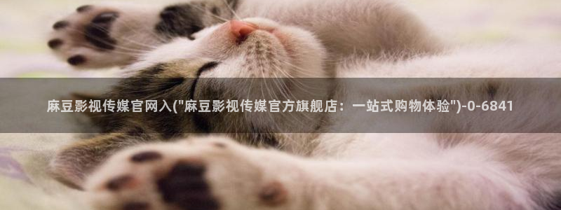 麻豆短片