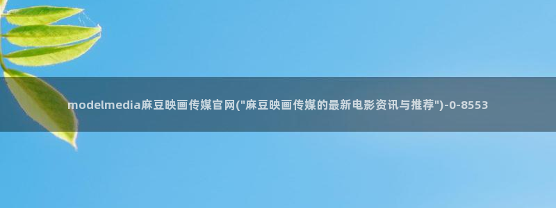 麻豆标题优化