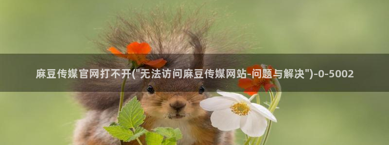 麻豆视频指南文案