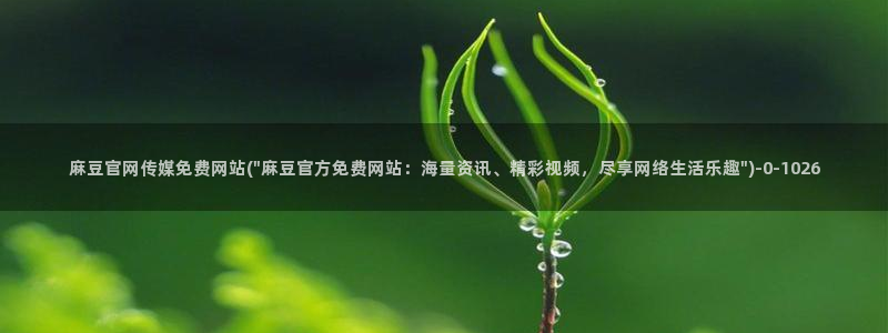 麻豆视频更新：麻豆官网传媒免费网站(\