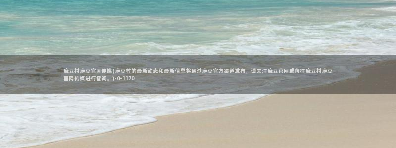 麻豆视频点评