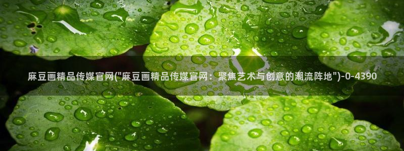 麻豆视频分类目录：麻豆画精品传媒官网(\